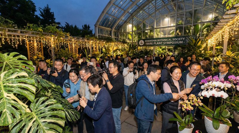 糖心植物社区活动