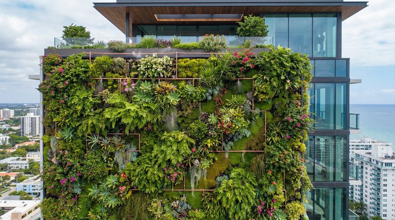糖心植物视频 - 垂直花园建造全记录